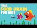 The Food Chain for Kids What is a food chain Come learn about producers consumers and more