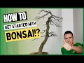 Get started with bonsai