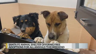 Santa Fe Animal Shelter still at capacity adoption fees to be waived
