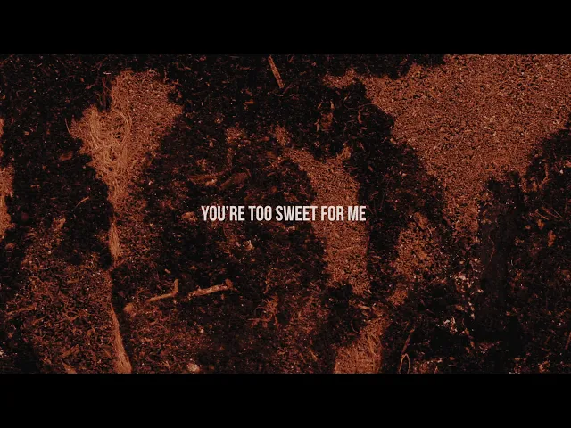 Download MP3 Hozier - Too Sweet (Official Lyric Video)