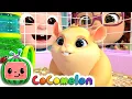 Download Lagu Class Pet Song | CoComelon Nursery Rhymes \u0026 Kids Songs