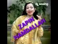 ZAPIN HAMDALLAH