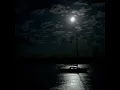 NUGIE   PELUKIS MALAM