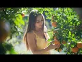 Download Lagu Winter Harvests from the Rainforest: Cooking a Native Plum Cheesecake, Sewing \u0026 Permaculture Farming