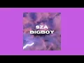 Download Lagu SZA BIGBOY SLOW-REVERB