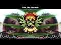 Tribal Seeds - Roots Party
