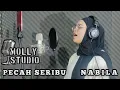 Download Lagu ELVY SUKAESIH - PECAH SERIBU (Cover NABILA)