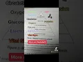 Maslow s Hierarchy of Needs