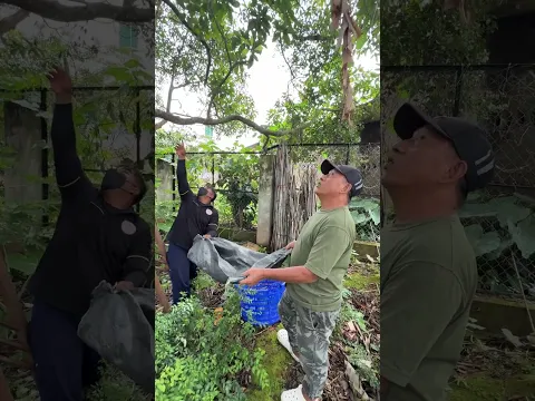 Quăng vô cái bao chứ quăng vô cái đầu là xong luôn 🤣🤣 #hoithiennguyenbds #8sangbds #8sang
