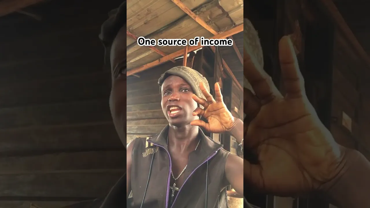 One source of income poster