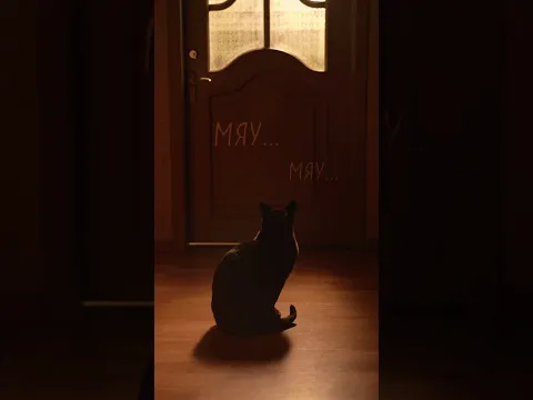 POV: Подарок/ мой тг канал Зазулькины #зазул @ktalevr