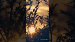 ادريس ابكر سورة النساء كاملة دقة عالية بصوت القارئ ادريس ابكر قرآن قران للنوم ادريس ابكر 4k 