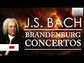 J.S. Bach: Brandenburg Concertos