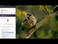 Eclipse Best Of the Best Plugins Part 2