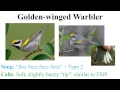 CEAP birds - warblers