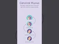 Download Lagu Fertile Cervical Mucus