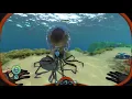 What happens when you release a CrabSquid from Alien Containment in Subnautica