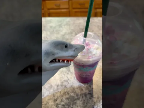 SHARK PUPPETS UNICORN FRAPPE!