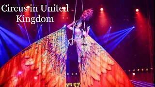 Download Uk Circus 1.1 | India Mallakhamb performance | Astonishing performance | Manchester Circus MustWatch MP3