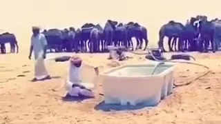 من تعرضنا عباره تعرض الانتحار الله يعينه على الاصتدام وكيته 