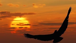 WIND BENEATH MY WINGS - Perry Como