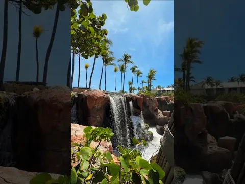 The Ultimate Resort Daydream ☀️🌊✨