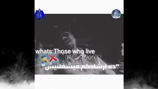 حاله واتس احمد موزه حربوني بحكومه مهرجان اخصامي مش حملي مصطفي الجن وهادي الصغير 2020 