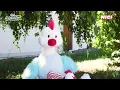 Download Lagu FARM FRIENDS GO GREEN - NICI GERMANY