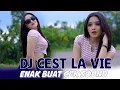 Lagu DJ CEST LA VIE - ENAK BUAT CEK SOUND