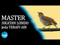 Download Lagu MASTER SIKATAN LONDO Jeda TERAPI AIR