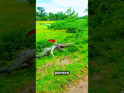 Um Animal SAIU dos Arbustos! #curiosidades #incrivel