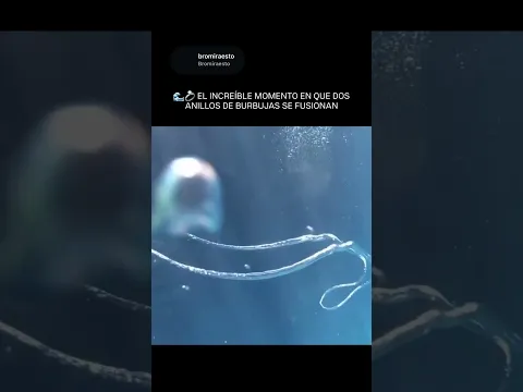 🌊💍 EL INCREÍBLE MOMENTO EN QUE DOS ANILLOS DE BURBUJAS SE FUSIONAN