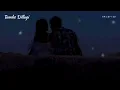 Tumhe Dillagi (Slowed + Reverb) | Jubin Nautiyal | Raid 2 | SR Lofi 2.0