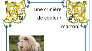 تعبير عن الاسد بالفرنسية للسنة الخامسة ابتدائي 