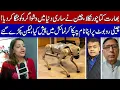 Lagu India Stole China’s Robotic Dog And Was Humiliated Worldwide!