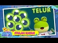 Download Lagu Itulah Katak I Lagu Terbaharu Musim Ketujuh I Didi \u0026 Friends Kembara Muzikal