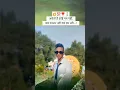 Download Lagu Akele hai koi gum nahi 😈😈😈#viralvideo #trending #shayari #status #attitude #youtubeshorts