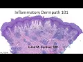 Inflammatory Dermpath 101 A Beginner s Guide to Diagnosing Skin Rashes for Non-Dermatopathologists