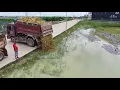 Download Lagu Perfect Starting New Project!Dump Truck Filling Land Delete Pond Expert Bulldozer D20P Pushing Soil 