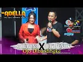 Lagu OJO DIBANDINGKE // Difarina X Cak Fendik // OM. ADELLA  // AN PROMOSINDO // Pasar Rakyat Pati