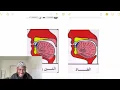 Download Lagu Mastering Tajweed Sifatul Huruf (Isti'la \u0026 Istifal) + Arabic Grammar | Comparing Similar Letters