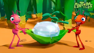 ANTIKS | ¡Granja de Hormigas! | Caricaturas | Videos Graciosos Para Niños | Oddbods