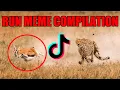 Top 10 TikTok Run Memes AwolNation-Run Compilation Run Meme Compilation