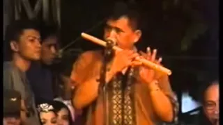 yusnia zebro jalan berduri