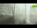 Swamp CRYENGINE 5
