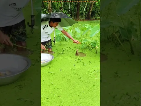 এটা কি পেল😲 #shortsfeed #facts #funny #fishing #viralvideo #fishingvideo #reelschallenge
