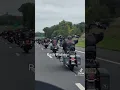 Pack riding