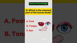General Knowledge Quiz 