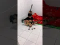 Download Lagu Bila kamu tak lagi denganku~Harga diriku (wali band)