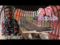 Download Lagu ไม่ได้เจอกันมา  3 ปี แวะเยี่ยมค่ายนกเขาใหญ่ พ่อวัฒนา